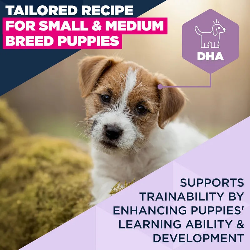 Eukanuba Premium Nutrition Puppy Small & Medium Breed Lamb & Rice