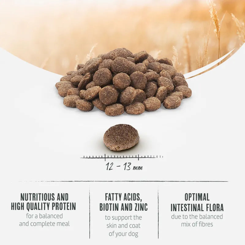 Briantos Adult Grain-Free Salmon & Potato