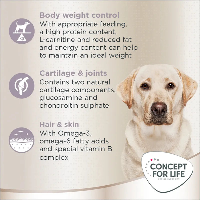 Concept for Life Labrador Sterilised