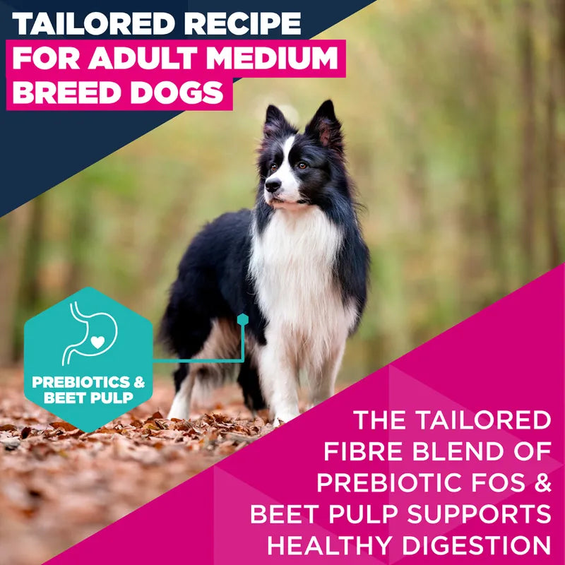 Eukanuba Premium Nutrition Adult Medium Breed Chicken