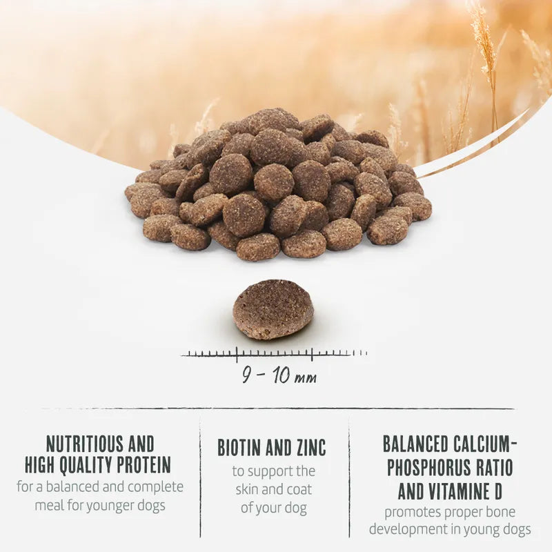 Briantos Junior Grain-Free Chicken & Potato