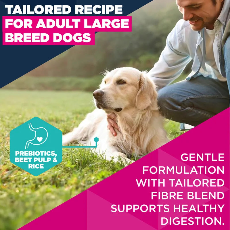 Eukanuba Premium Nutrition Adult Large & Giant Breed Lamb & Rice