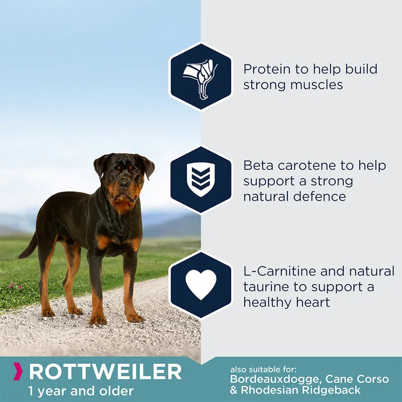Eukanuba Rottweiler Adult