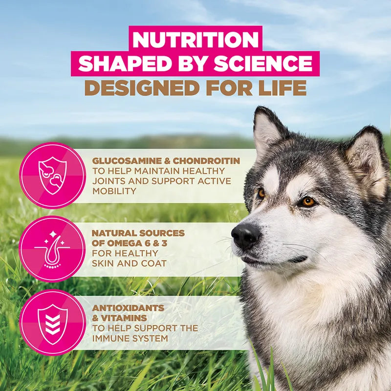 Eukanuba Grain Free Senior Large & Giant with Ocean Fish