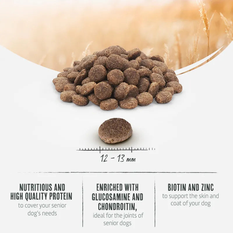 Briantos Senior Grain-Free Turkey & Potato