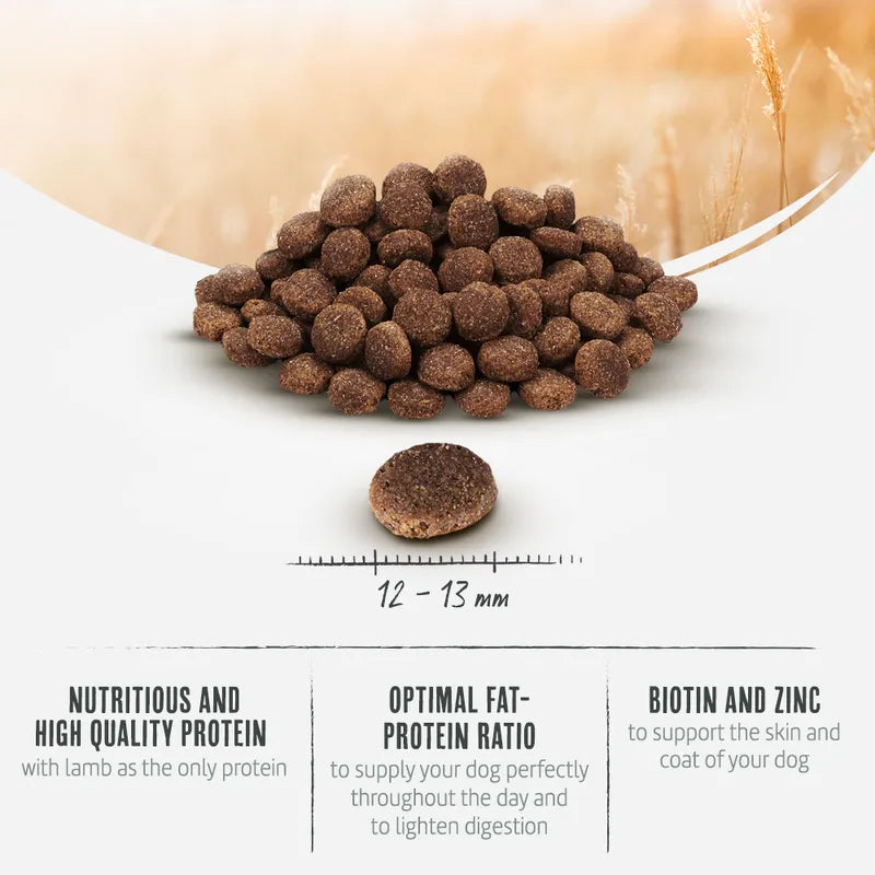 Briantos Adult Sensitive Lamb & Rice