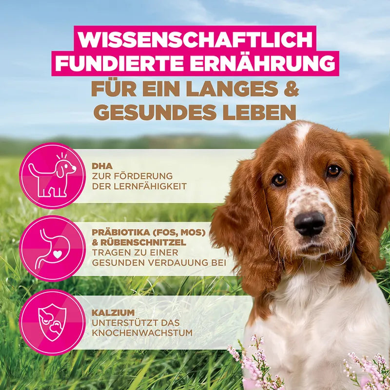 Eukanuba Grain Free Puppy Small & Medium Breed - Ocean Fish