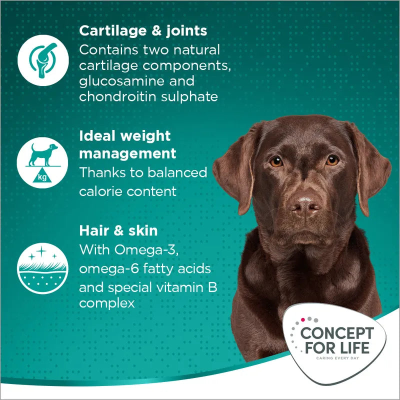 Concept for Life Large Adult