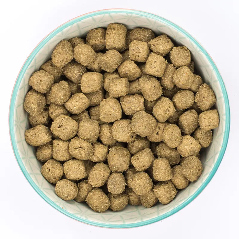 Burns Puppy Original - Lamb & Rice