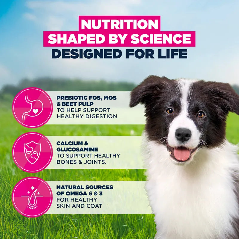 Eukanuba Premium Nutrition Puppy Medium Breed Chicken