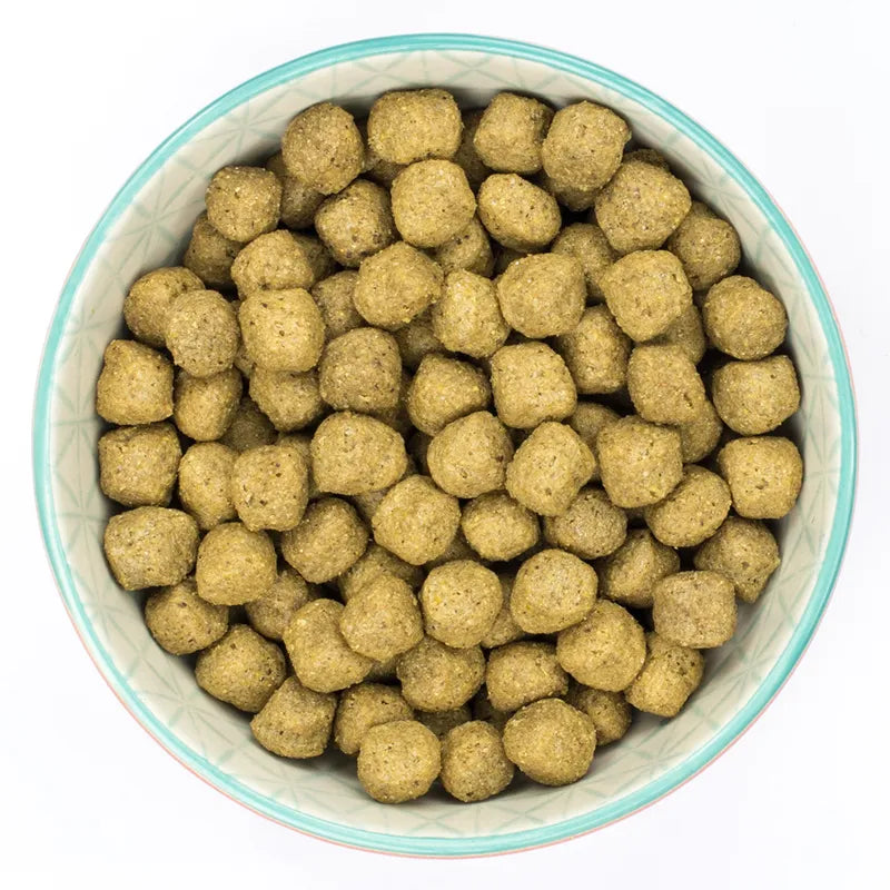 Burns Adult & Senior Sensitive - Fish & Wholegrain Maize