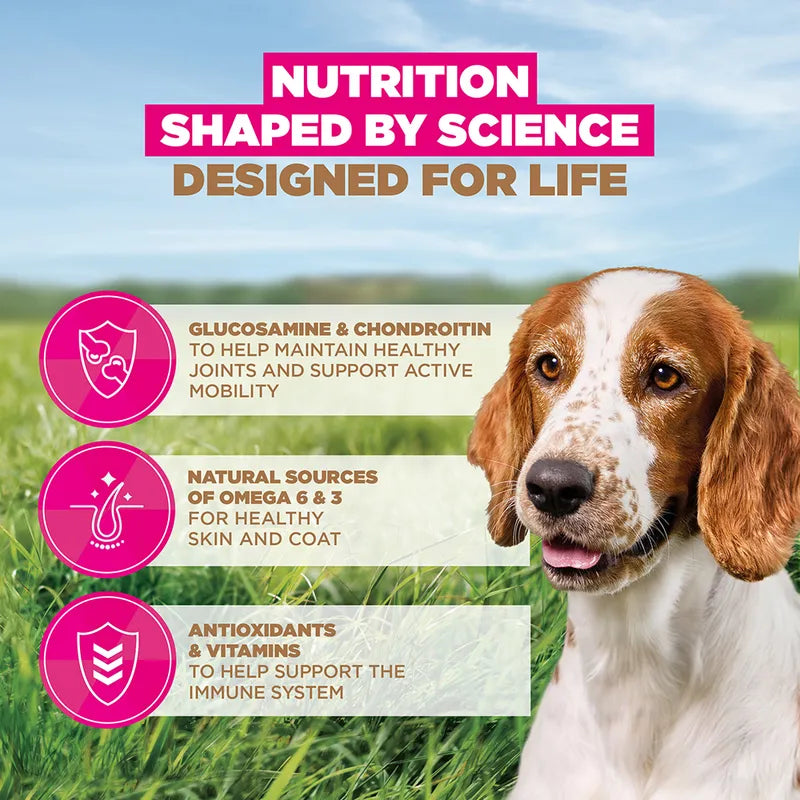 Eukanuba Grain-Free Senior Small & Medium Breed Ocean Fish