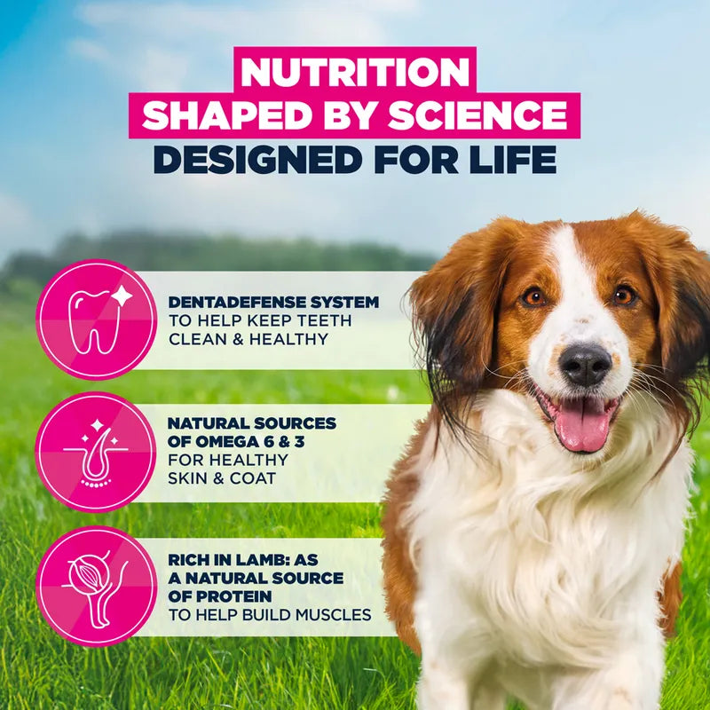 Eukanuba Premium Nutrition Adult Small & Medium Breed Lamb & Rice