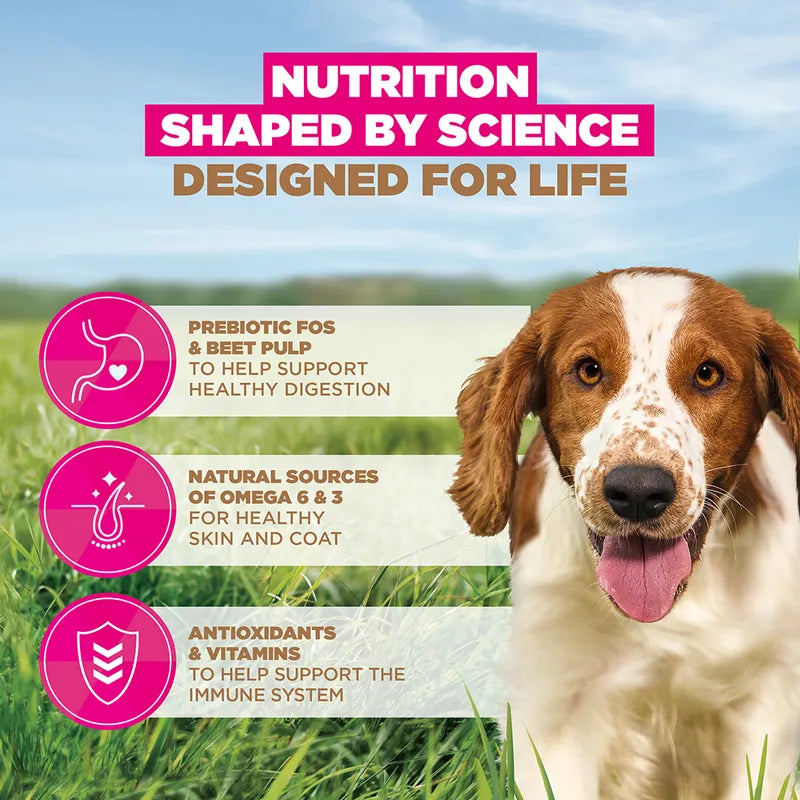 Eukanuba Adult Grain-Free Small & Medium Breed Ocean Fish