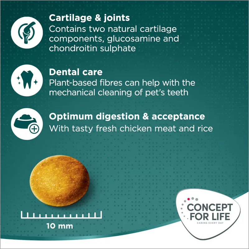 Concept for Life Large Senior