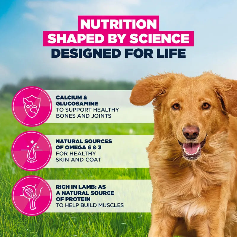 Eukanuba Premium Nutrition Adult Large & Giant Breed Lamb & Rice