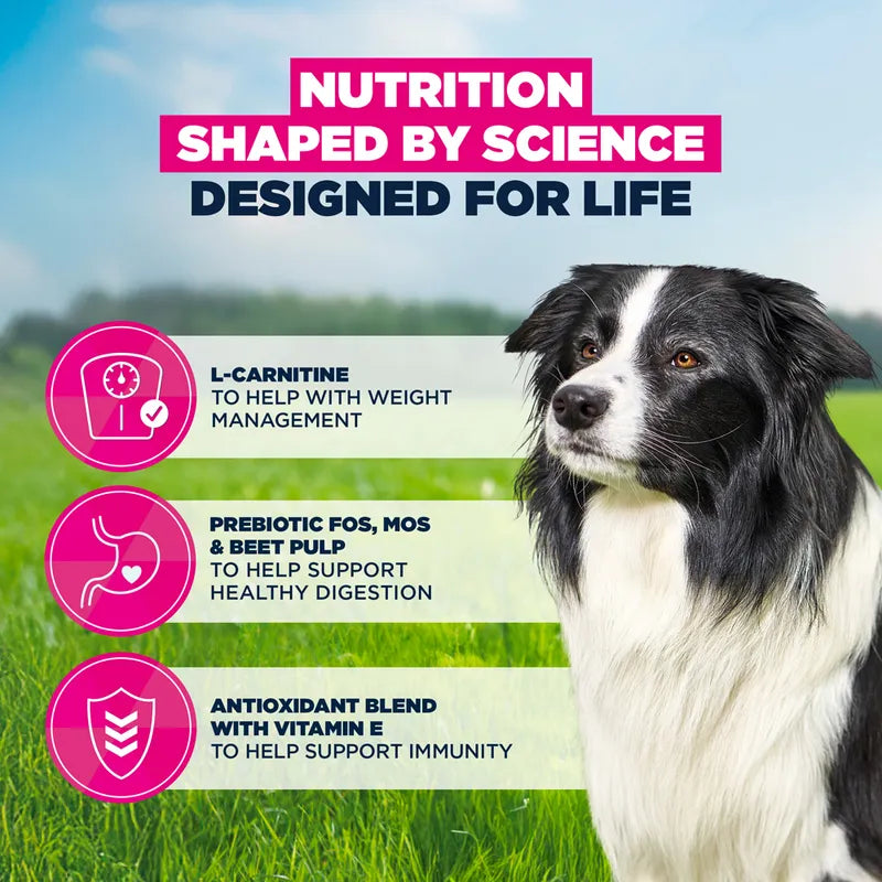 Eukanuba Premium Nutrition Senior Medium Breed Chicken