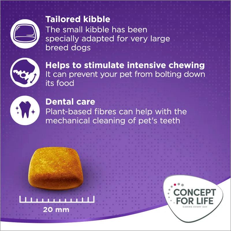 Concept for Life X-Large Adult