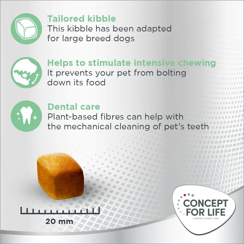 Concept for Life Large Sensitive