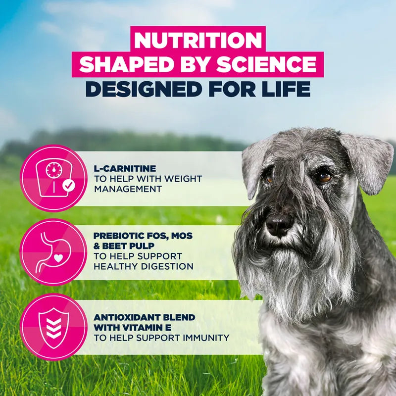Eukanuba Premium Nutrition Senior Small Breed Chicken