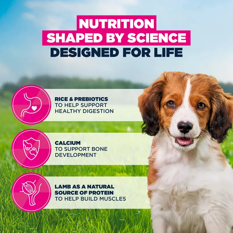 Eukanuba Premium Nutrition Puppy Small & Medium Breed Lamb & Rice