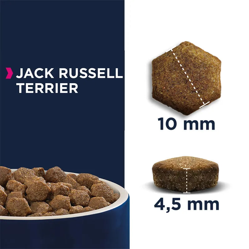 Eukanuba Jack Russell Terrier Adult