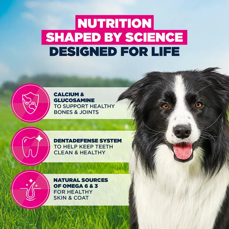 Eukanuba Premium Nutrition Mature Medium Breed Chicken