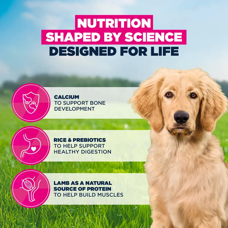 Eukanuba Premium Nutrition Puppy Large & Giant Breed Lamb & Rice