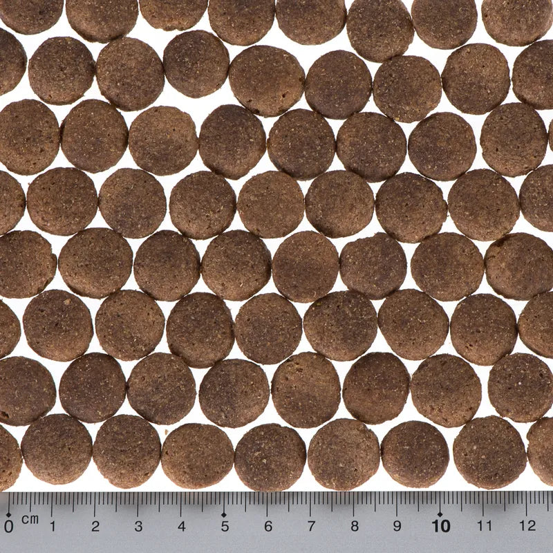 Briantos Adult Chicken & Rice