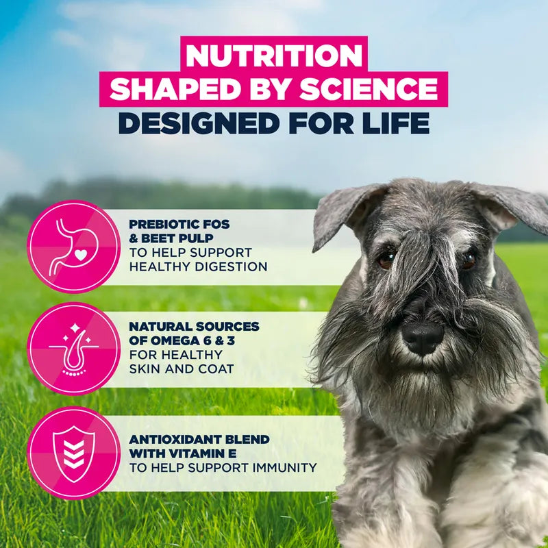 Eukanuba Premium Nutrition Adult Small Breed Chicken