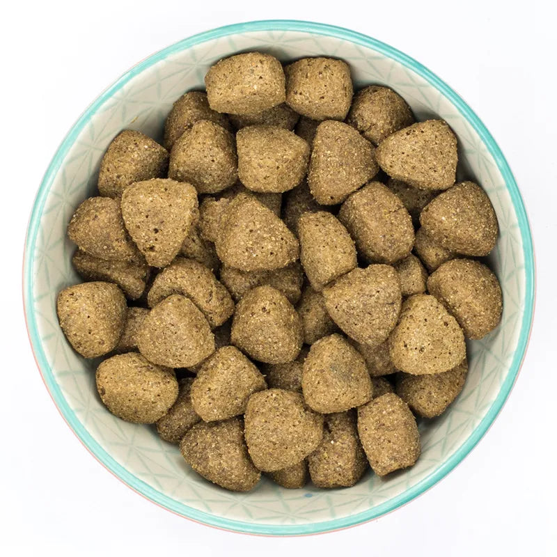 Burns Large and Giant Breed Original - Chicken & Rice