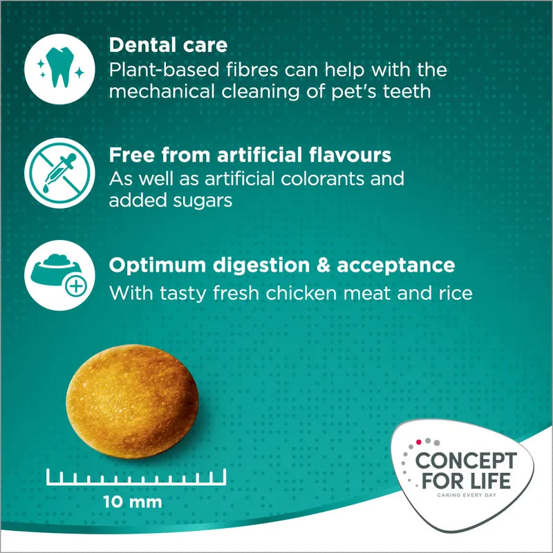 Concept for Life Large Adult