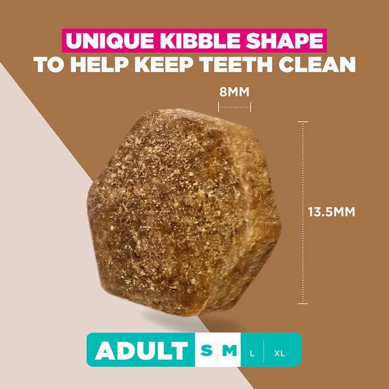 Eukanuba Adult Grain-Free Small & Medium Breed Ocean Fish