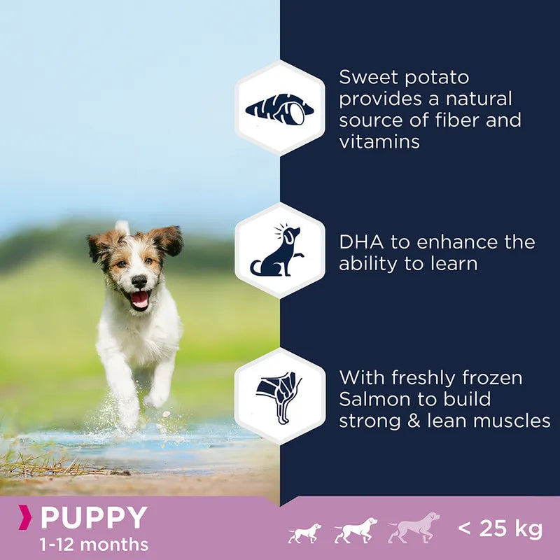 Eukanuba Grain-Free Small & Medium Breed Puppy with Ocean Fish