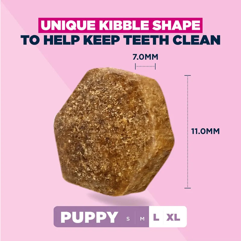 Eukanuba Premium Nutrition Puppy Large & Giant Breed Lamb & Rice