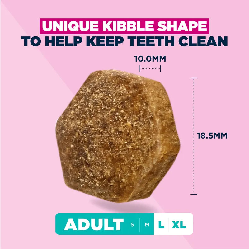 Eukanuba Premium Nutrition Adult Large & Giant Breed Chicken