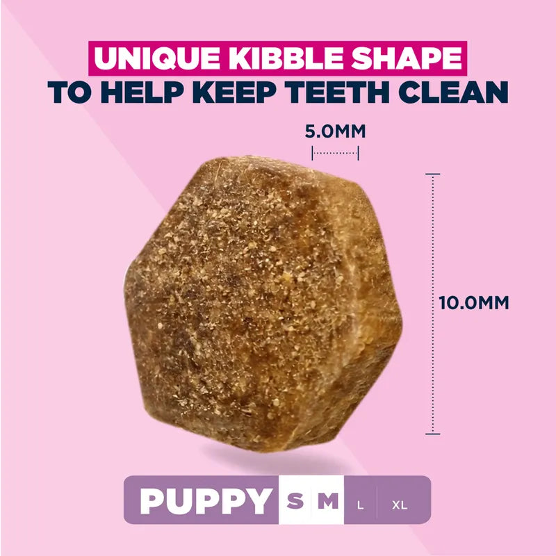 Eukanuba Premium Nutrition Puppy Small & Medium Breed Lamb & Rice