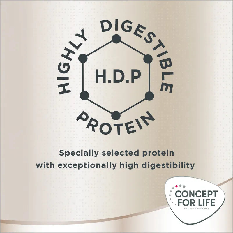 Concept for Life Golden Retriever Adult