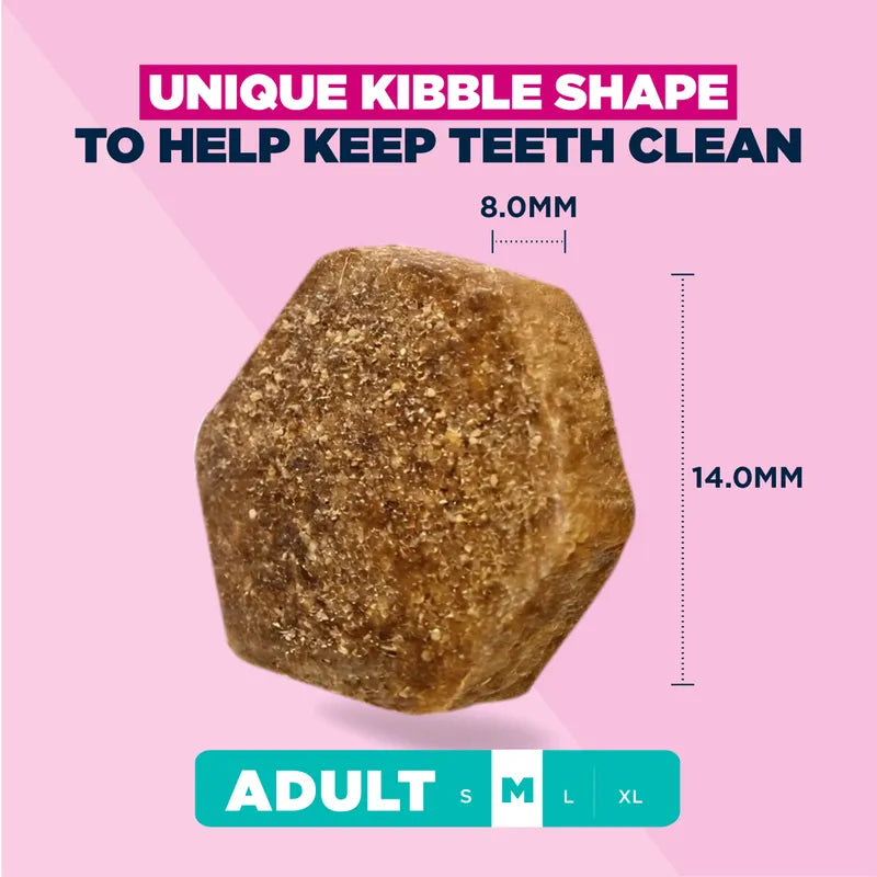 Eukanuba Premium Nutrition Adult Medium Breed Chicken