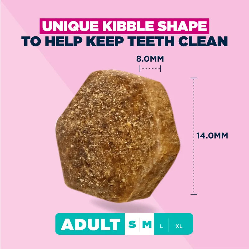 Eukanuba Premium Nutrition Adult Small & Medium Breed Lamb & Rice