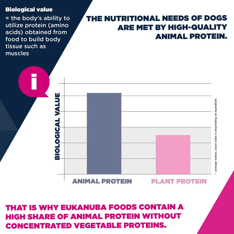 Eukanuba Premium Nutrition Senior Small & Medium Breed Lamb & Rice