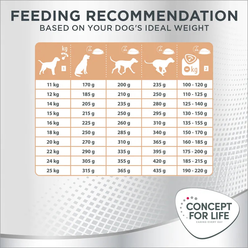 Concept for Life Medium Light