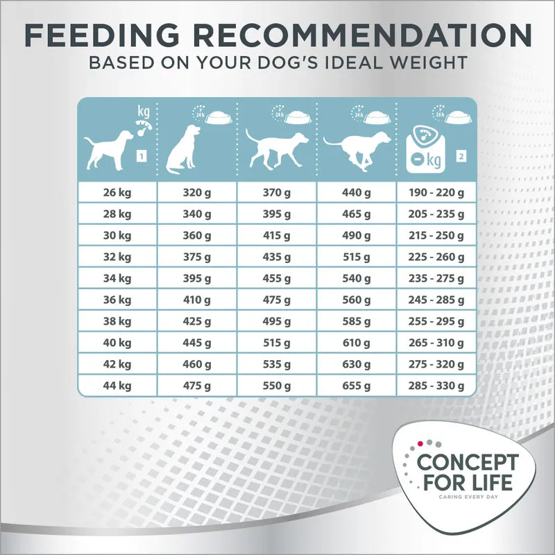 Concept for Life Large Light