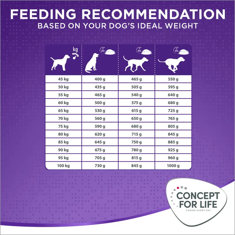 Concept for Life X-Large Adult