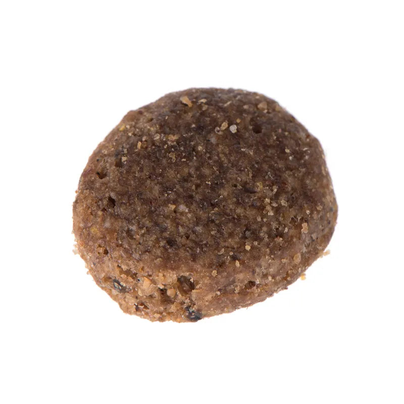 Briantos Adult Lamb & Rice