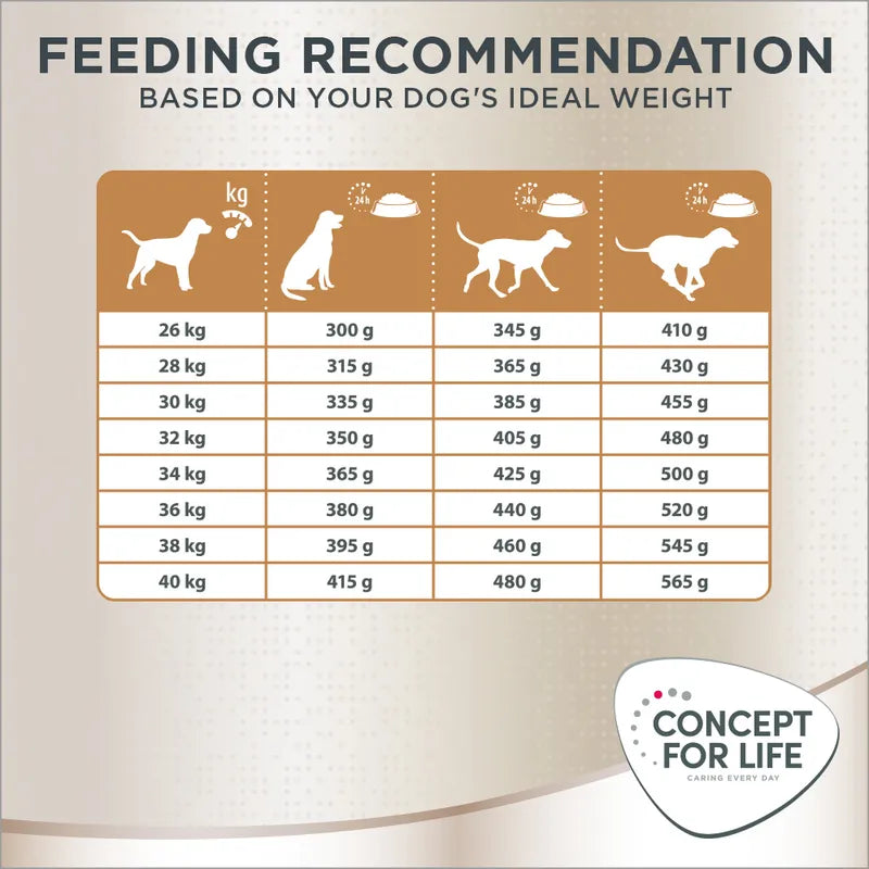 Concept for Life Golden Retriever Adult