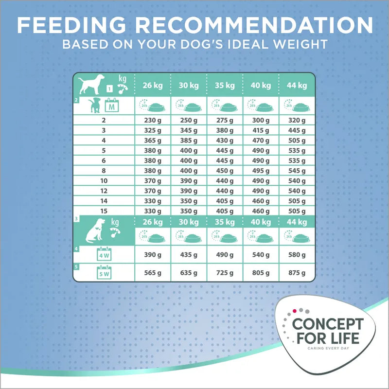 Concept for Life Large Puppy & Junior