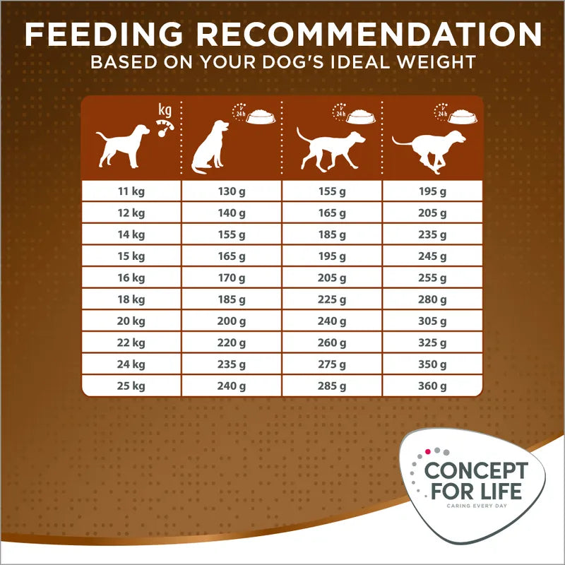 Concept for Life Medium Senior