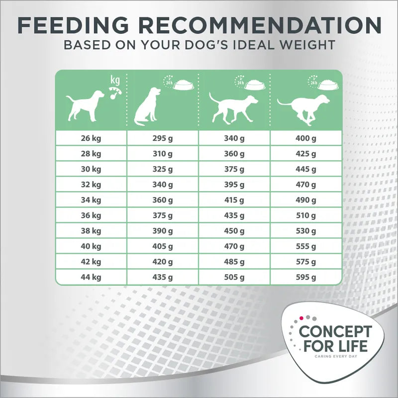 Concept for Life Large Sensitive