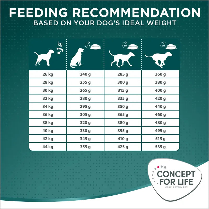 Concept for Life Large Senior